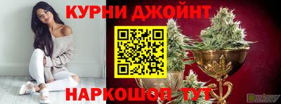 гидра Будённовск