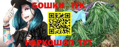 гидра Будённовск