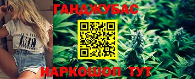 гидра Будённовск