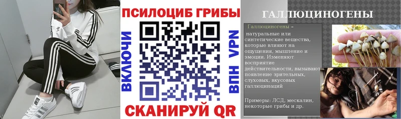 цена наркотик  Ессентуки  Галлюциногенные грибы мухоморы 