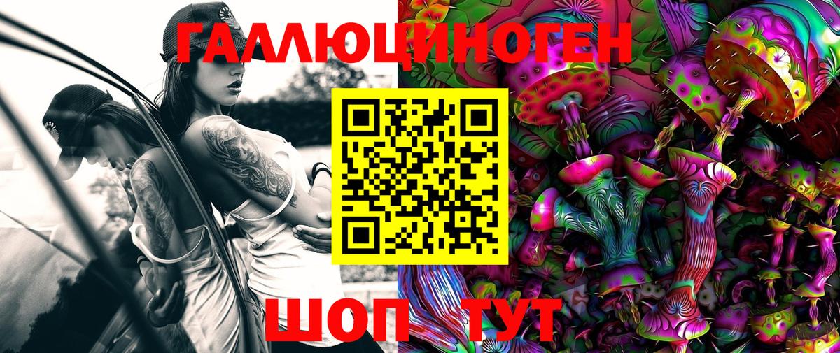 Галлюциногенные грибы Psilocybine cubensis  Вход с VPN  Ессентуки 