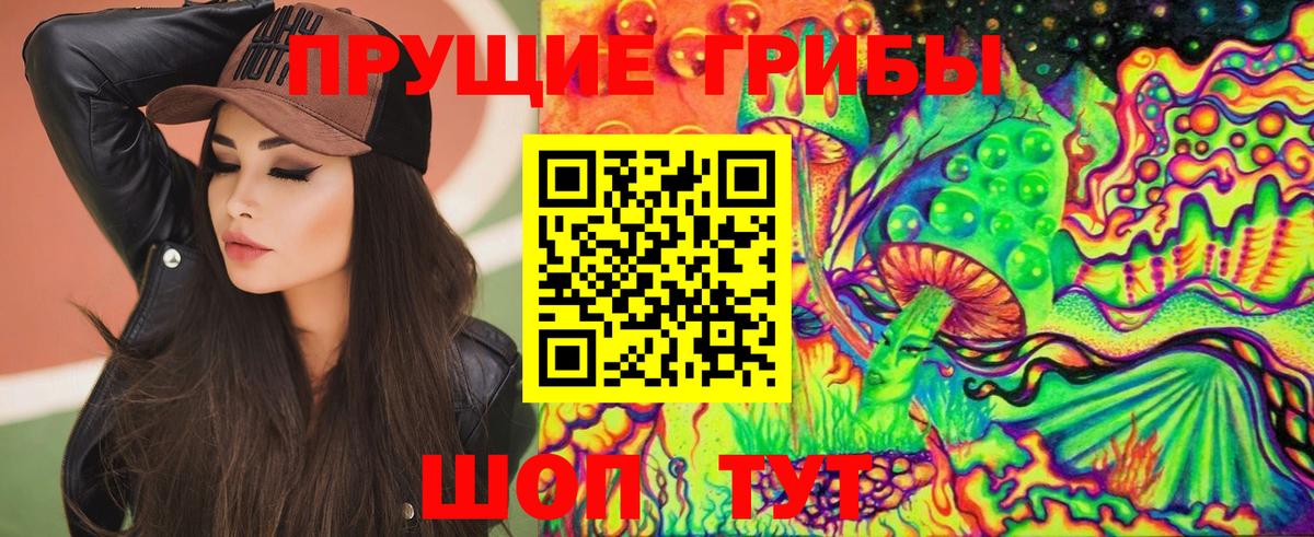 Псилоцибиновые грибы Psilocybine cubensis Ессентуки