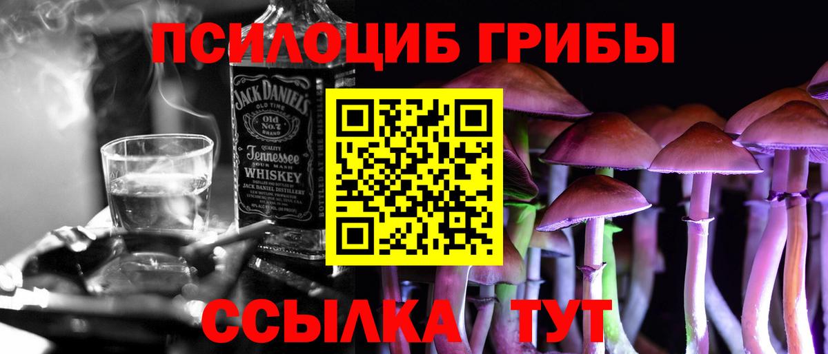 Псилоцибиновые грибы Psilocybine cubensis  Ессентуки 
